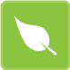 Amped Green: Energy Efficient Design