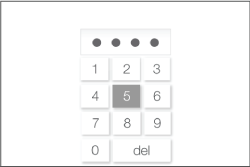 Touch Screen Passcode